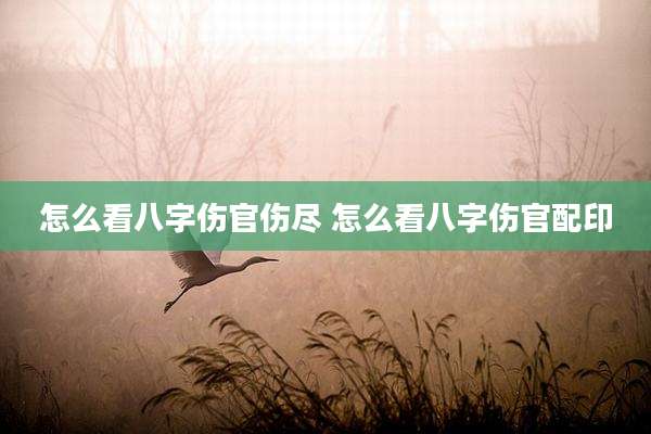 怎么看八字伤官伤尽 怎么看八字伤官配印