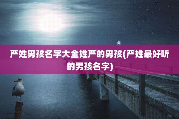 严姓男孩名字大全姓严的男孩(严姓最好听的男孩名字)