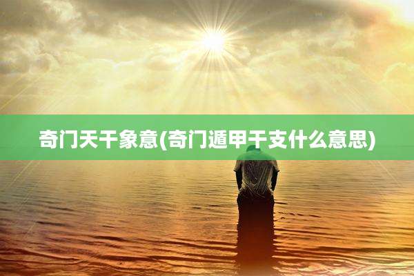 奇门天干象意(奇门遁甲干支什么意思)