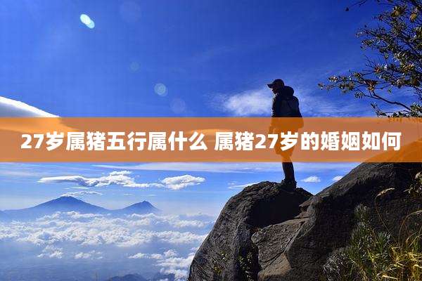 27岁属猪五行属什么 属猪27岁的婚姻如何