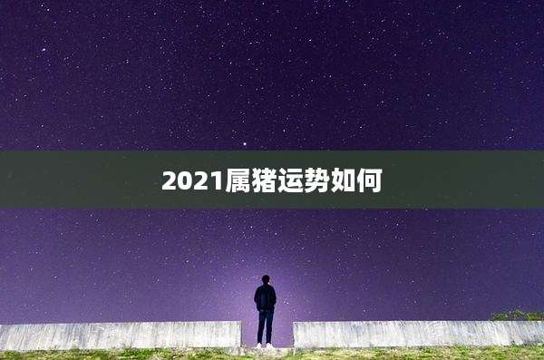 2021属猪运势如何