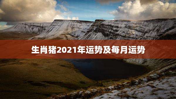 生肖猪2021年运势及每月运势