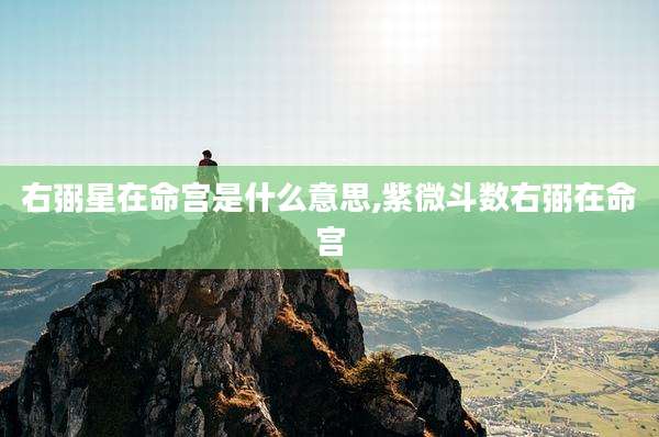 右弼星在命宫是什么意思,紫微斗数右弼在命宫