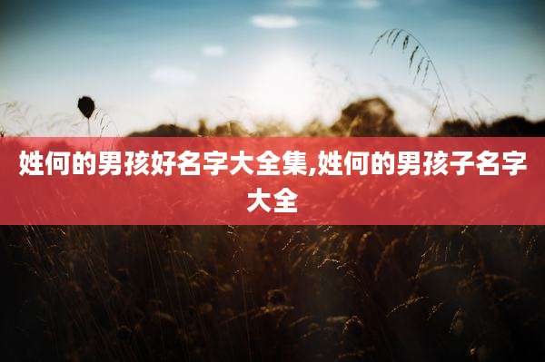 姓何的男孩好名字大全集,姓何的男孩子名字大全