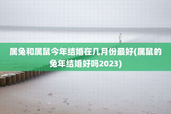 属兔和属鼠今年结婚在几月份最好(属鼠的兔年结婚好吗2023)
