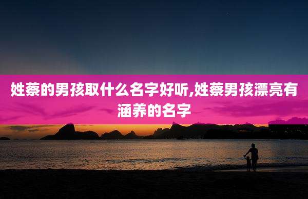 姓蔡的男孩取什么名字好听,姓蔡男孩漂亮有涵养的名字