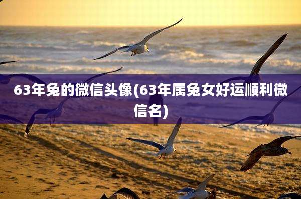 63年兔的微信头像(63年属兔女好运顺利微信名)