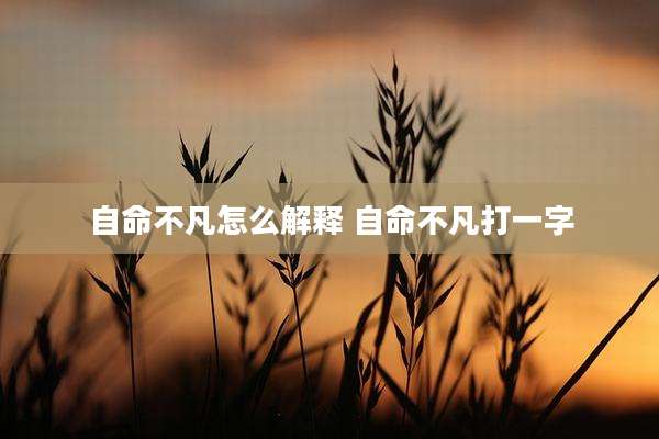 自命不凡怎么解释 自命不凡打一字