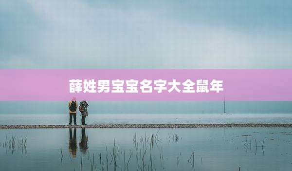 薛姓男宝宝名字大全鼠年