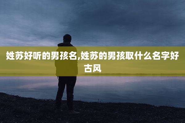 姓苏好听的男孩名,姓苏的男孩取什么名字好古风