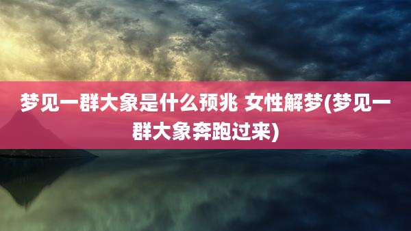 梦见一群大象是什么预兆 女性解梦(梦见一群大象奔跑过来)