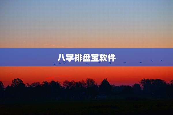 八字排盘宝软件