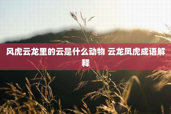 风虎云龙里的云是什么动物 云龙凤虎成语解释