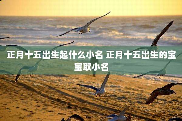 正月十五出生起什么小名 正月十五出生的宝宝取小名