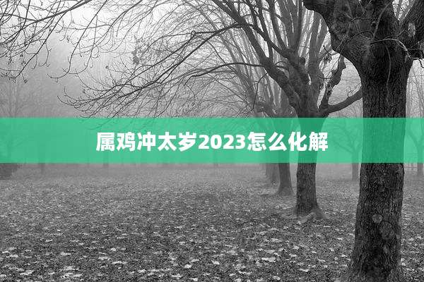 属鸡冲太岁2023怎么化解