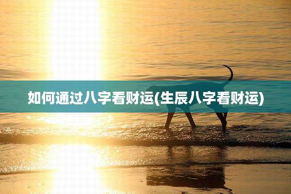 如何通过八字看财运(生辰八字看财运)