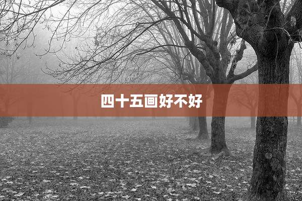 四十五画好不好