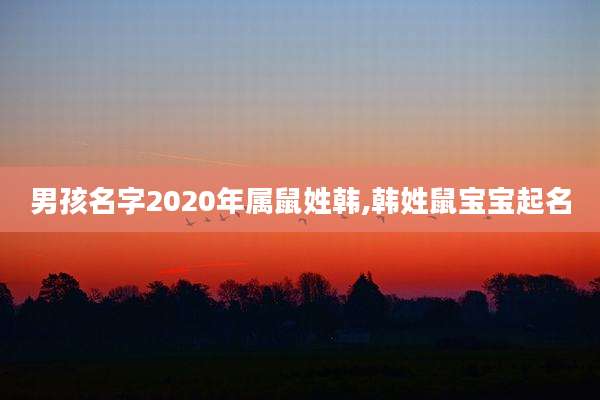 男孩名字2020年属鼠姓韩,韩姓鼠宝宝起名