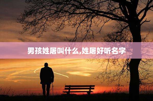 男孩姓屠叫什么,姓屠好听名字