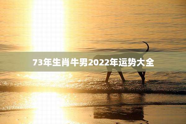 73年生肖牛男2022年运势大全