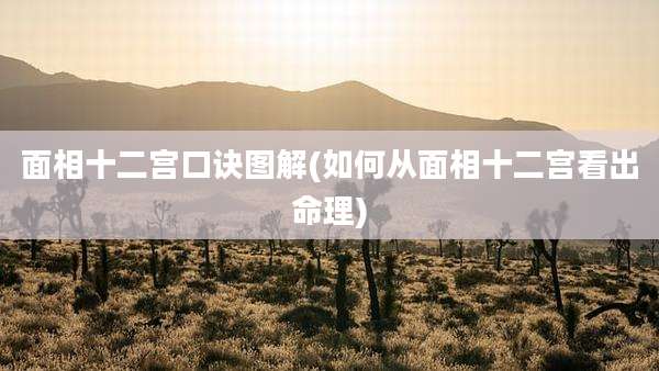 面相十二宫口诀图解(如何从面相十二宫看出命理)