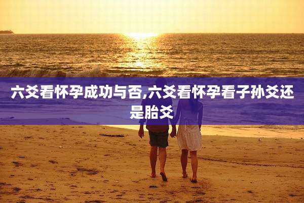 六爻看怀孕成功与否,六爻看怀孕看子孙爻还是胎爻
