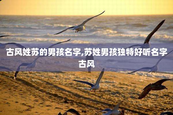 古风姓苏的男孩名字,苏姓男孩独特好听名字古风