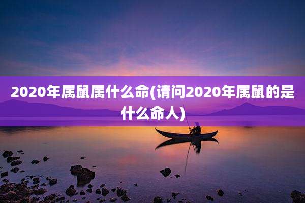 2020年属鼠属什么命(请问2020年属鼠的是什么命人)