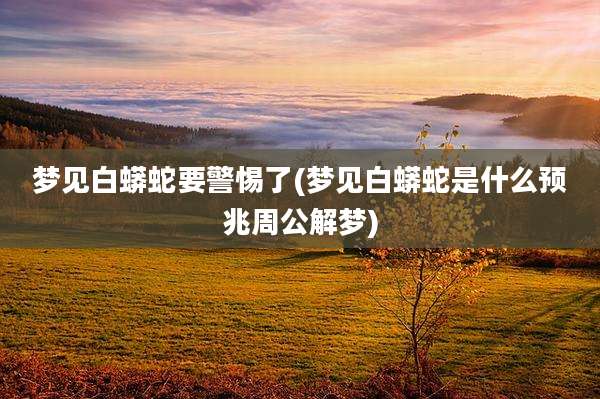 梦见白蟒蛇要警惕了(梦见白蟒蛇是什么预兆周公解梦)