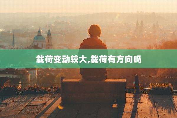 载荷变动较大,载荷有方向吗