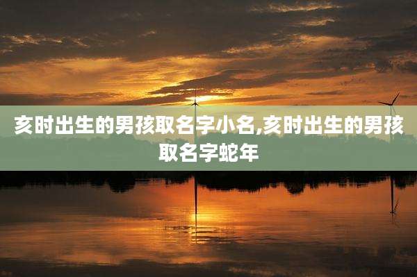 亥时出生的男孩取名字小名,亥时出生的男孩取名字蛇年