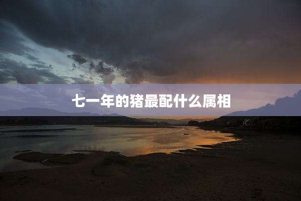 七一年的猪最配什么属相