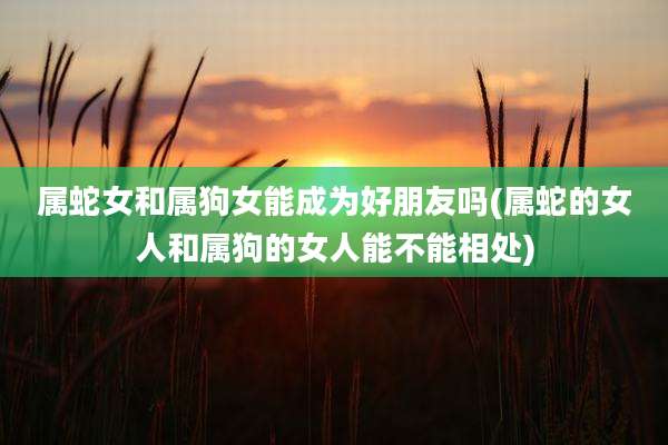 属蛇女和属狗女能成为好朋友吗(属蛇的女人和属狗的女人能不能相处)