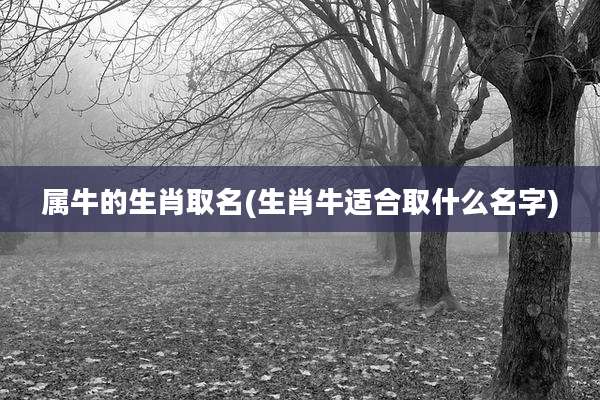 属牛的生肖取名(生肖牛适合取什么名字)