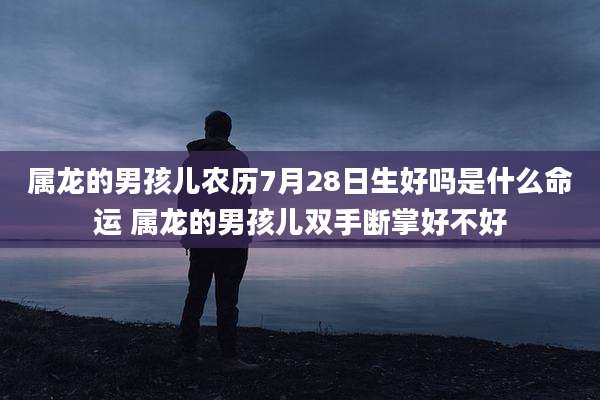 属龙的男孩儿农历7月28日生好吗是什么命运 属龙的男孩儿双手断掌好不好