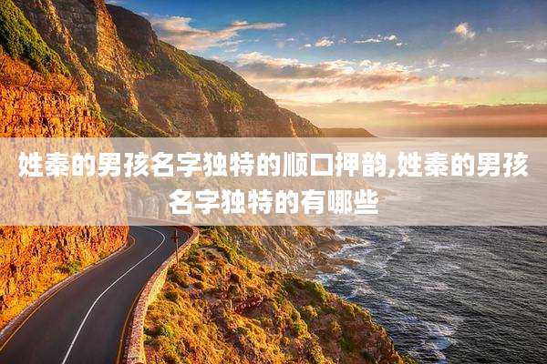 姓秦的男孩名字独特的顺口押韵,姓秦的男孩名字独特的有哪些