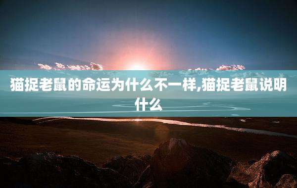 猫捉老鼠的命运为什么不一样,猫捉老鼠说明什么