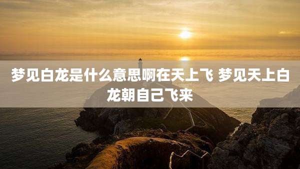梦见白龙是什么意思啊在天上飞 梦见天上白龙朝自己飞来