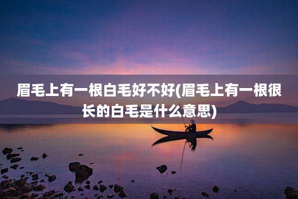 眉毛上有一根白毛好不好(眉毛上有一根很长的白毛是什么意思)