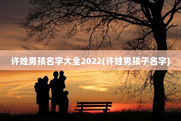 许姓男孩名字大全2022(许姓男孩子名字)