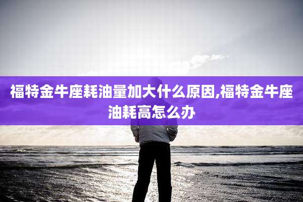 福特金牛座耗油量加大什么原因,福特金牛座油耗高怎么办