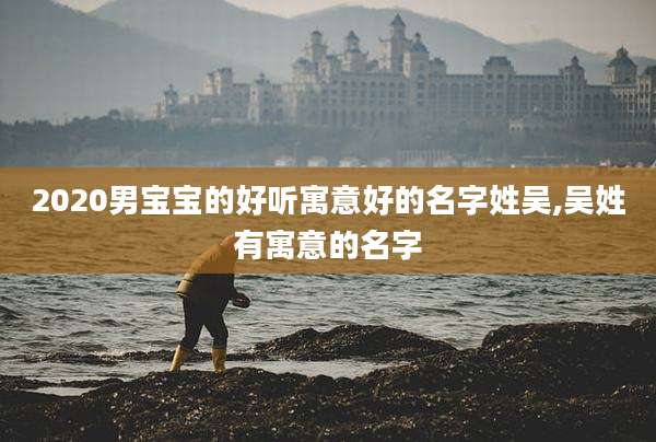 2020男宝宝的好听寓意好的名字姓吴,吴姓有寓意的名字