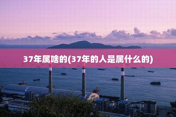 37年属啥的(37年的人是属什么的)