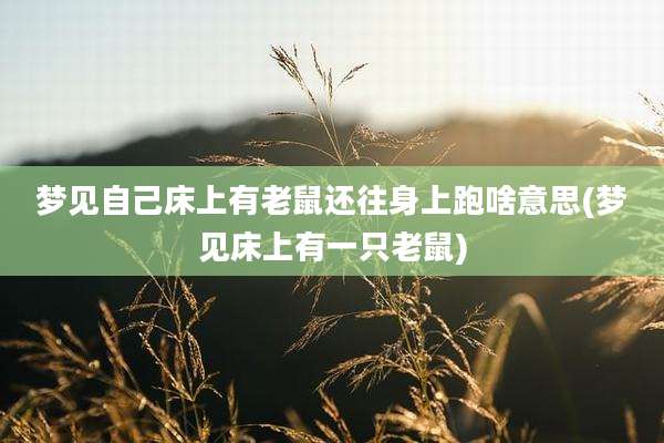 梦见自己床上有老鼠还往身上跑啥意思(梦见床上有一只老鼠)