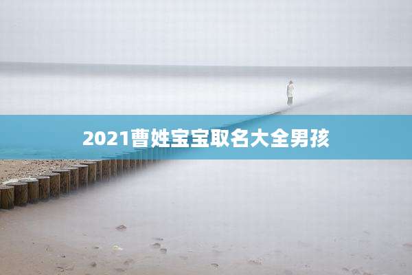 2021曹姓宝宝取名大全男孩