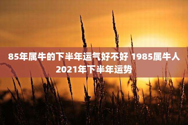 85年属牛的下半年运气好不好 1985属牛人2021年下半年运势