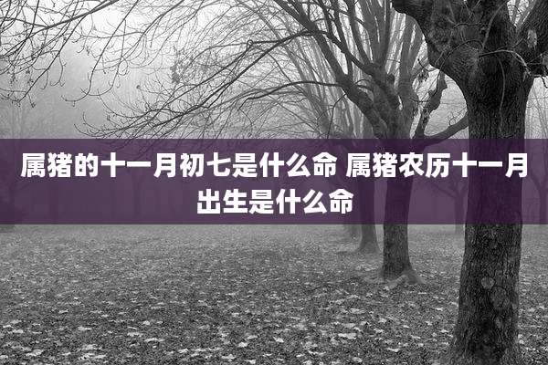 属猪的十一月初七是什么命 属猪农历十一月出生是什么命