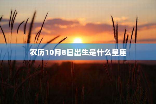 农历10月8日出生是什么星座