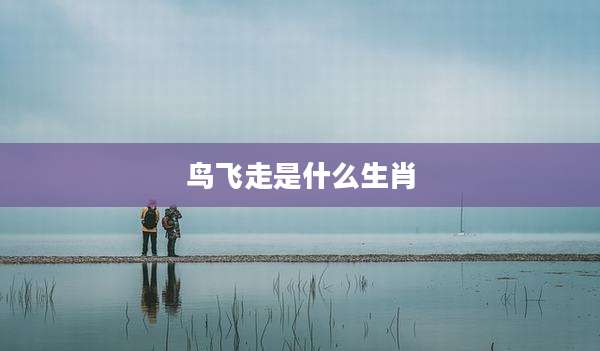 鸟飞走是什么生肖