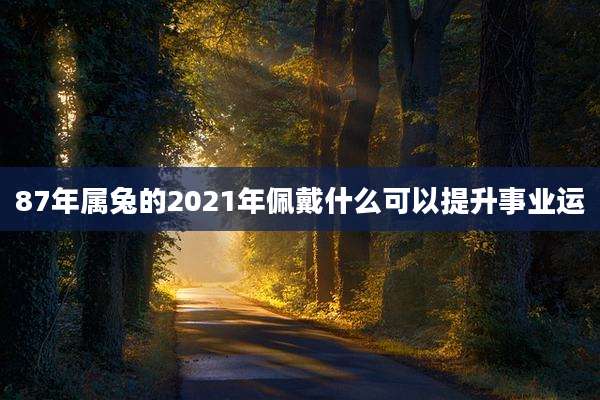 87年属兔的2021年佩戴什么可以提升事业运